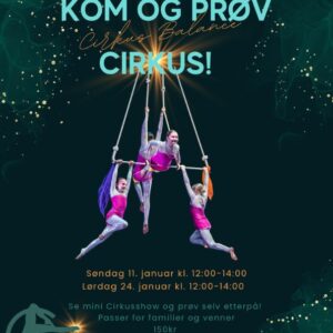 Kom og prøv Cirkus!