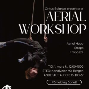 Aerial workshop 1. mars