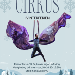 Cirkus i vinterferien